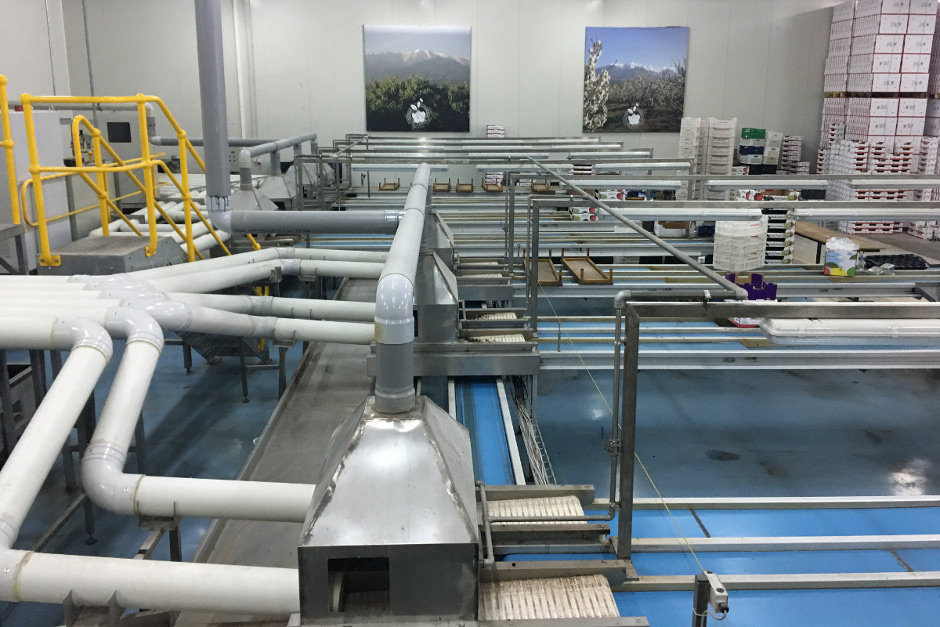 Διαλογητήριο κερασιών