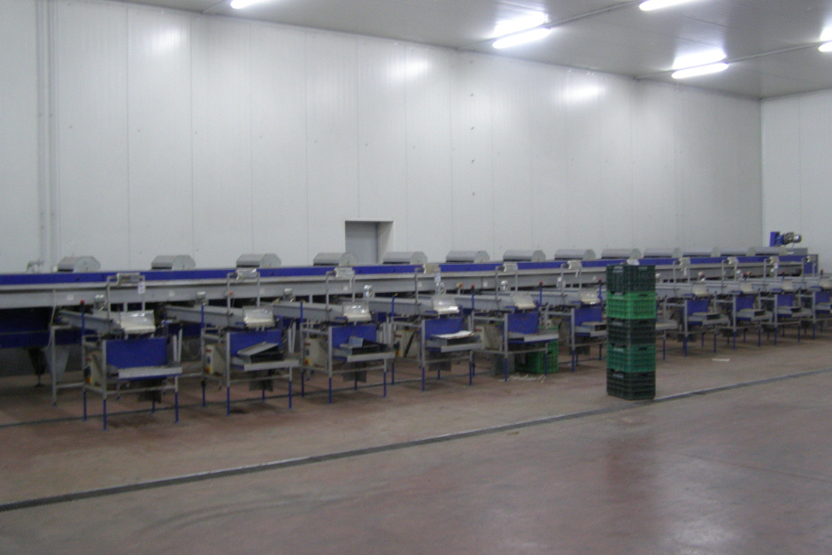 Διαλογητήριο ακτινιδίων και λοιπών φρούτων